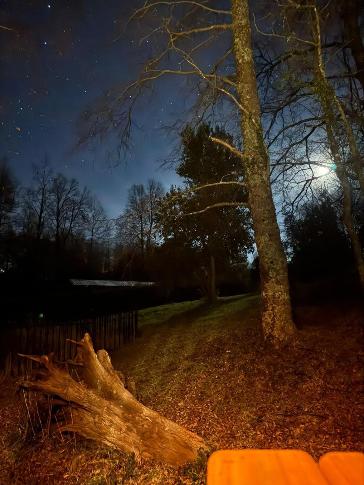Domos Elohim Villa Pucón Exteriör bild